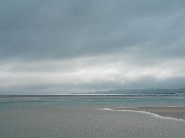Harris